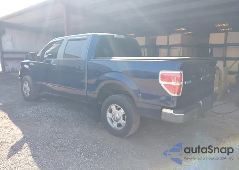 2010 Ford F-150 Xl/Xlt z USA, uszkodzony, nr VIN 1FTEW1E82AFB62459